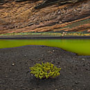 Foto Lanzarote